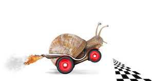 https://www.austpayroll.com.au/wp-content/uploads/2018/11/snail.jpg